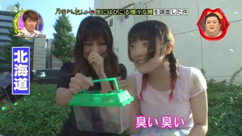 北海道 ゴキブリ 平気 感動 (63)