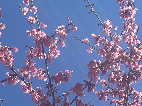 07AB8762-DD57-4B7E-8927-33861F2619B7