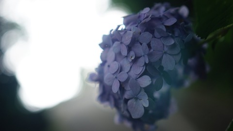 5D3247FC-8DD9-49BD-AE40-442FB93BCAAD