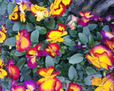 182275EF-E579-4A6E-8813-2EB9A3311E3A