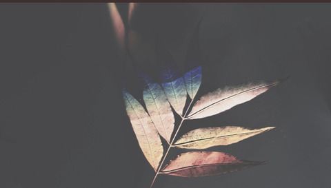 291175BB-BA7D-4286-B545-0D1B1BDF7E8E