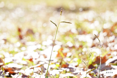 B84AC9ED-470A-4F8D-BF06-017BEB479AFE