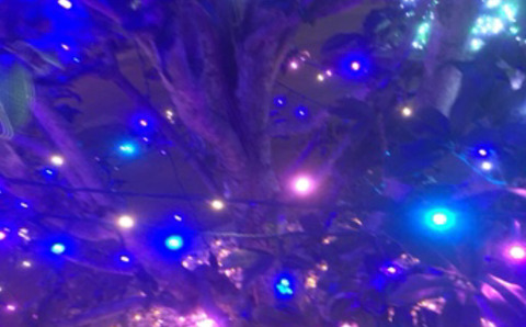 7314525D-2FD8-4348-A4D0-5D6AF50082B7