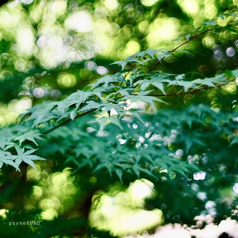 84F7820A-4942-4219-9A57-E5B2FEEFF882