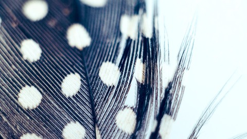 D3FDFE22-3237-476E-B633-D4B81A045F92