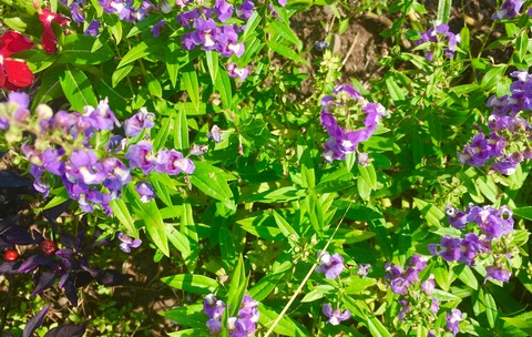 7A69FAE3-877E-4FE8-BFD4-1A193789E2D2