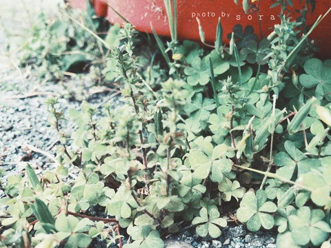 CE7DE049-B72F-4760-8C31-1E58017EA6D0