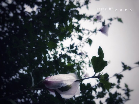 1841055E-D777-439E-83B1-2D1F5CF1F8CC