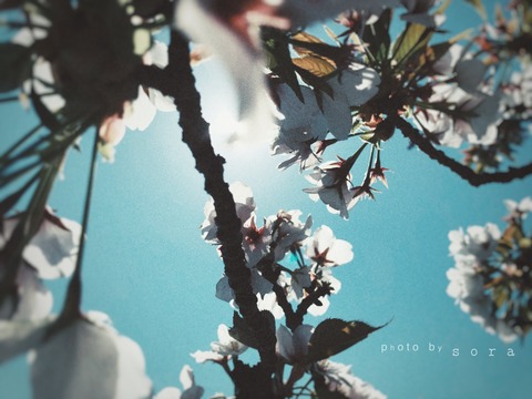 FA1588E8-440D-4836-B4ED-2F8B8CAA43E4