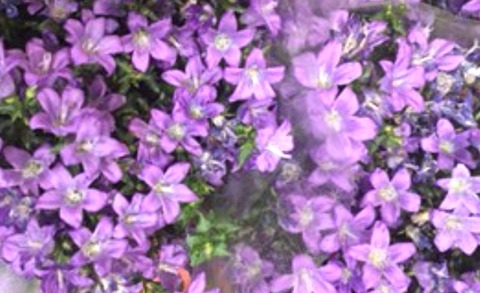 5BF399AC-1BA5-42DA-97FB-0BFF4EEBE8E2