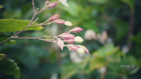 E6420AEB-F1C2-43F6-9ED2-CA25C346DDD4