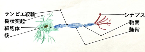 80AFCD60-482A-45DE-9078-CB7A8EBE089C