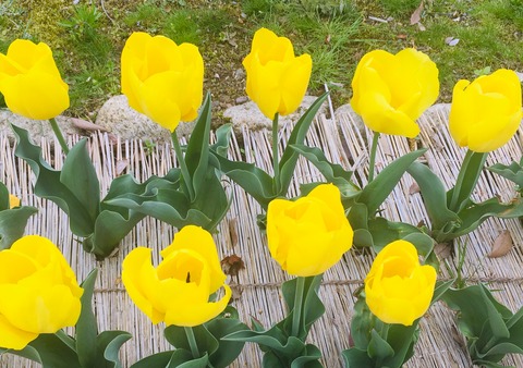 77201B0B-22AA-4A4F-A8EA-C39B09CEF6CF