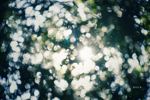 57597E69-293C-4B7D-B0F9-8AED47B2659A