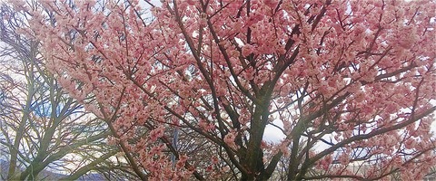 CD57F2EB-A3D5-4080-AB37-E744CE532FFE