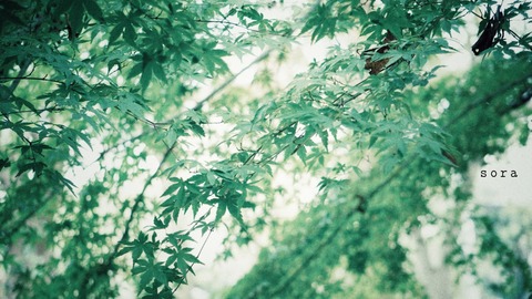 8FCEC358-89CA-494C-886E-FAFA0D7AF692