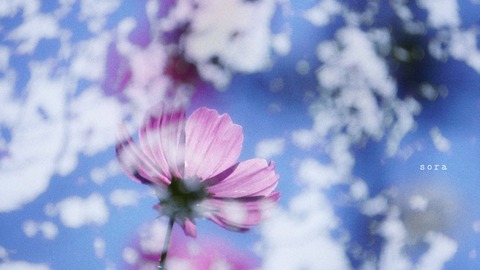 337F8011-87F3-4713-AADA-D0E525126A70