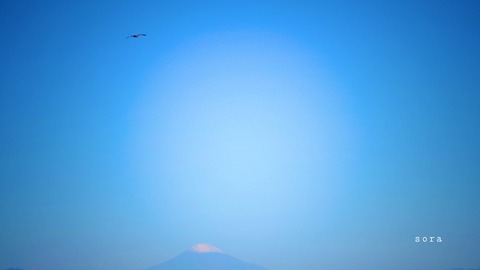 E21E400D-36A0-4D41-A7C0-3EEDE0E76274