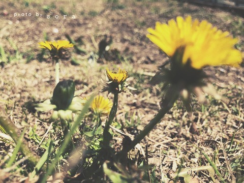 7B038C9E-A251-46B6-9DE2-5B6B57928FBB