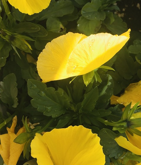 18D70765-D312-4E3E-8A33-90D148C44A05