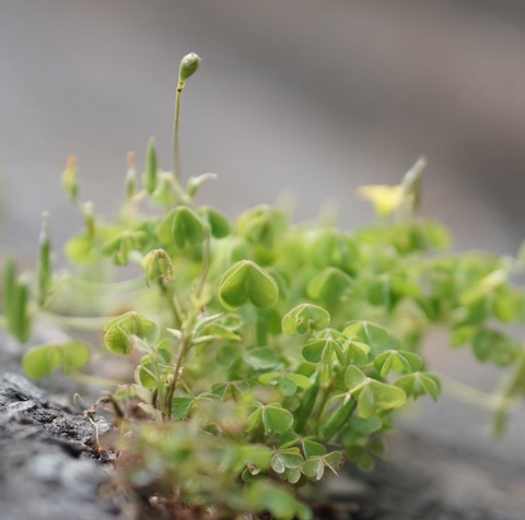 53A3B791-D0F3-4724-A889-8E9BEF1BFD0F