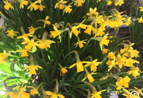 E3AEDFED-D95E-43FF-BF0C-D1C30A68854B