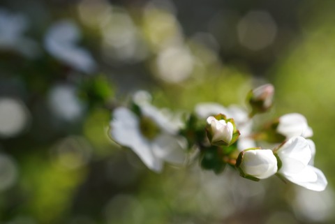 81394745-306F-44B7-BE4A-8163CB06DB53