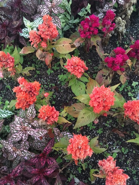 20772DC5-010C-4EFC-877F-F3DDC4F843BD