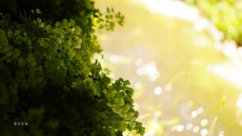 EEC45310-6B97-404B-BF5A-DFA7916ACCA3