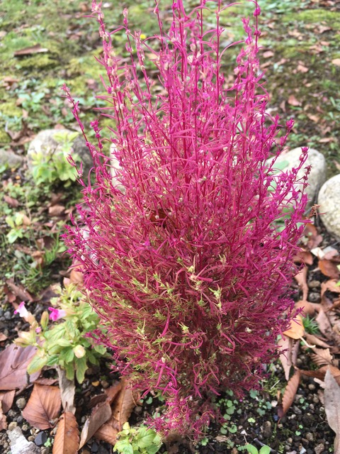 836F5160-3906-4674-B1DE-6BD4DFED79C5