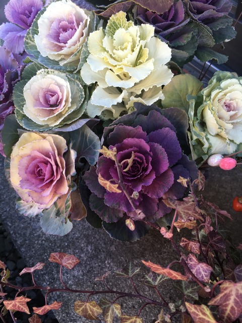 20417351-FF2D-4555-A477-74055CFE4D35