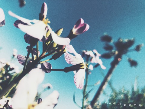 DFDC1D65-0504-4D93-B4E9-3D28FDC2CFCF