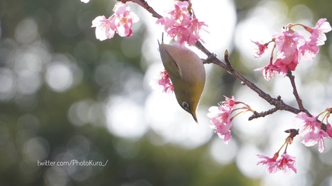 9FEC3C36-7C51-4304-85C8-421D47E787EC