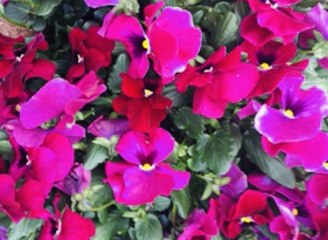 EF54A5F7-B53D-4309-8272-B715A7716477