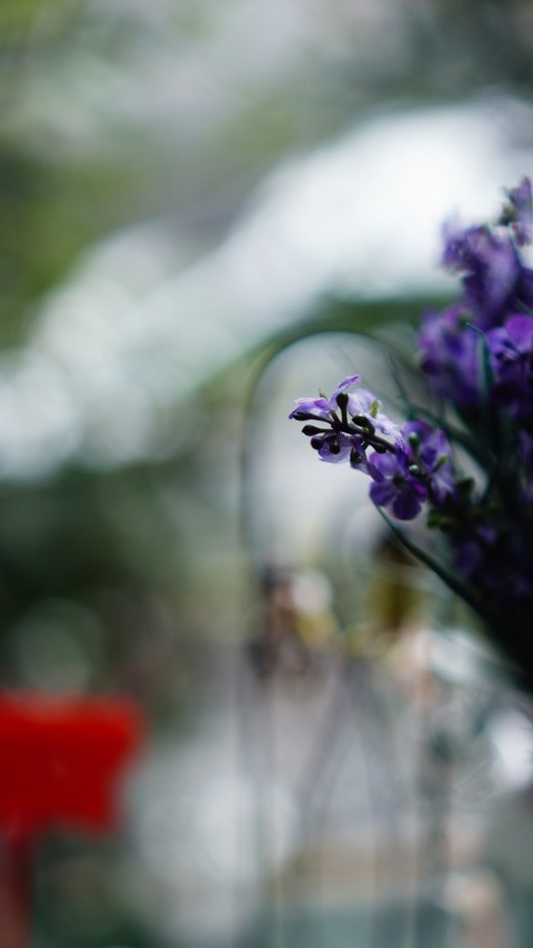 C05DCEAB-E144-473D-A427-FF84E20A33B1