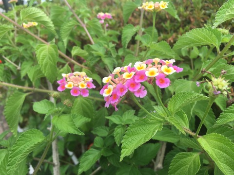 D2E597E1-D309-475C-8F1E-44D970854919