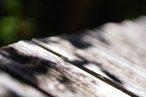7014B6C7-8C21-4223-A397-038DF507CD0D