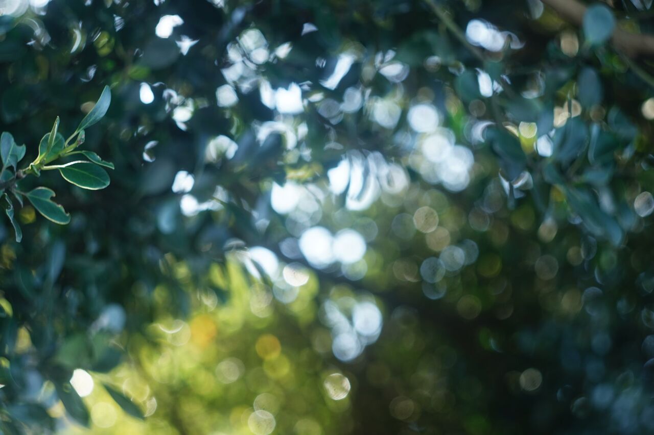 臨床心理士 公認心理師 N 君の大学院生時代を振り返る ひなたあきらのおけまる公認心理師たん