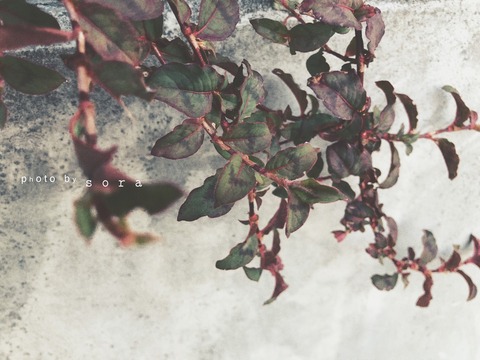 FE317D06-EF06-4490-87C8-613F2EC58812