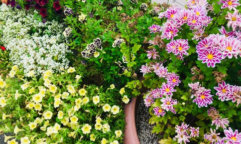 DAE5ED7F-0325-48CB-A110-E2C9E66ED25C