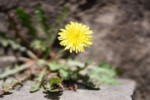 0501CDB0-5720-49E8-8E9F-1A5E655C2053