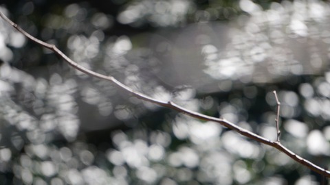 3E842E65-205B-4885-9B80-5CA5B4D95077
