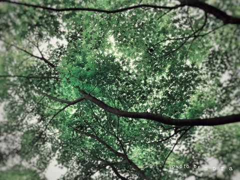 5FF7D90D-7511-43A0-82E0-CCDE628DB3D2