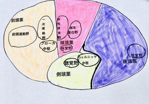 333E7365-ABEC-4AFE-A556-15E77CFB61B3