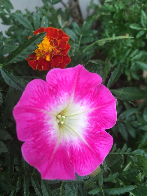 5A269FA9-1208-4D12-9274-7DFE146A746E