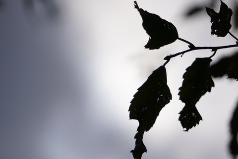 90D5FC9B-26E9-42C0-90FD-2B431AD1F600