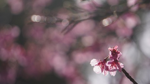 13BB4506-0762-4857-81FB-7DE0033C7C1E