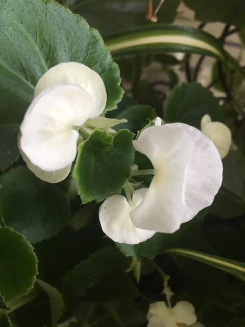 70FF4DEF-999A-494D-81A4-B6ADA2C80D2D