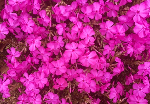 2BA17EE3-29FB-4B4A-A429-1B178A0CA0C1