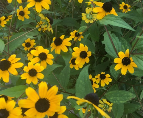 5056B2F7-7DF8-4181-8B93-8E7BAE52088F